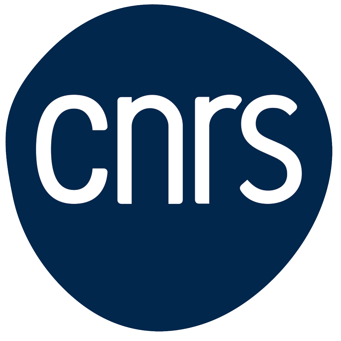 CNRS Logo